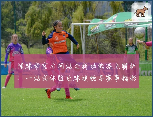 懂球帝官方网站全新功能亮点解析：一站式体验让球迷畅享赛事精彩