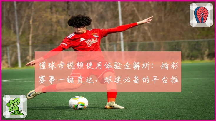 懂球帝视频使用体验全解析:精彩赛事一键直达,球迷必备的平台推荐